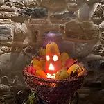L'antico Oliveto * San Severino Marche