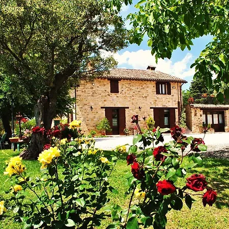 Lantgård L'antico Oliveto *