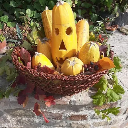 Farm stay L'antico Oliveto