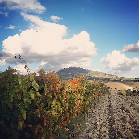 L'antico Oliveto Farma San Severino Marche