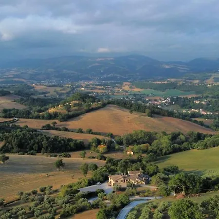 L'antico Oliveto