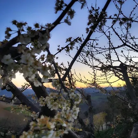 L'antico Oliveto Farma San Severino Marche
