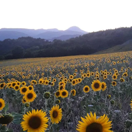 L'antico Oliveto San Severino Marche