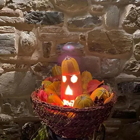 L'antico Oliveto * San Severino Marche