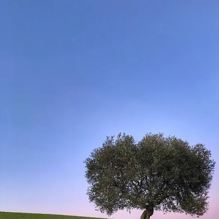 Farma L'antico Oliveto *