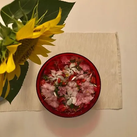 L'antico Oliveto Farm stay *