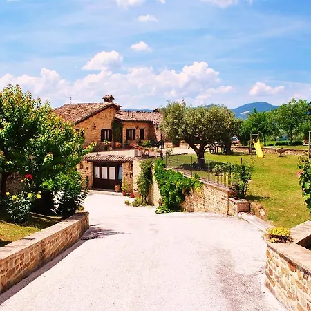 Farma L'antico Oliveto