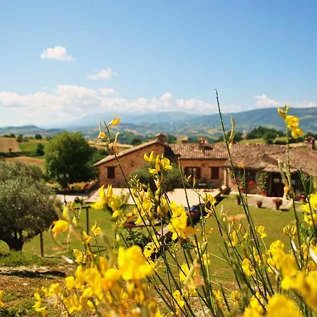 L'antico Oliveto Lantgård