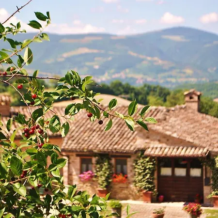 L'antico Oliveto