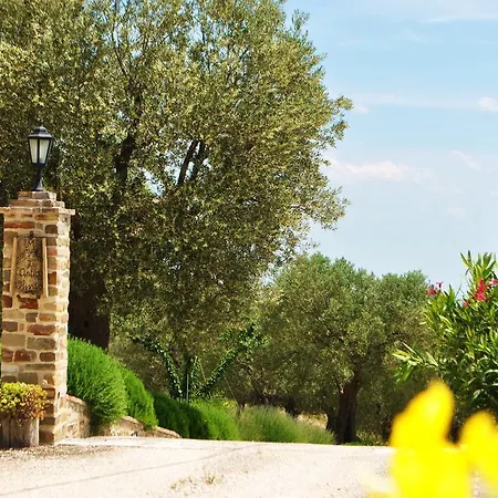 L'antico Oliveto Lantgård *