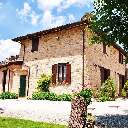 L'antico Oliveto *