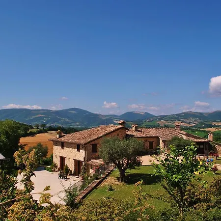 L'antico Oliveto San Severino Marche