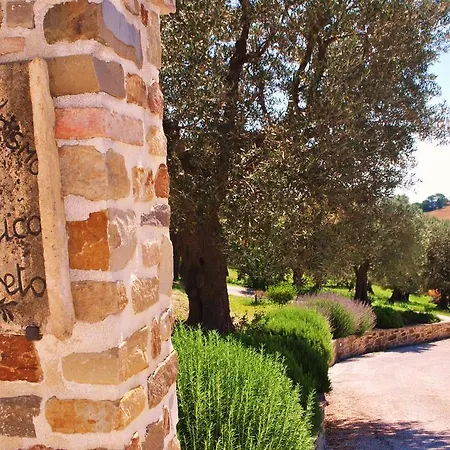 L'antico Oliveto Farm stay