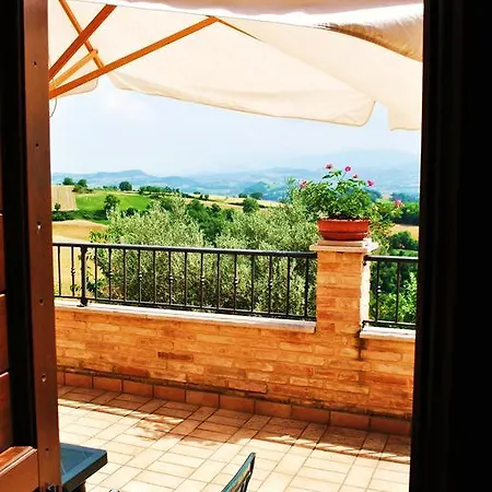 L'antico Oliveto