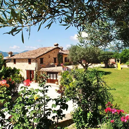 Farma L'antico Oliveto