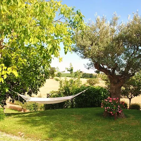 L'antico Oliveto