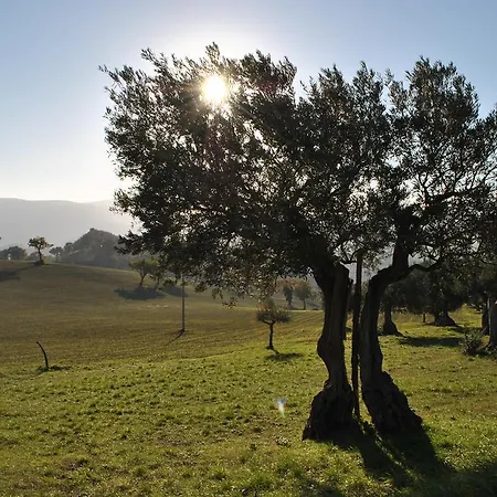 Lantgård L'antico Oliveto *