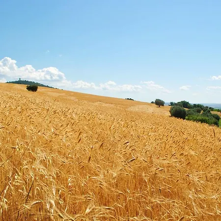 Farm stay L'antico Oliveto